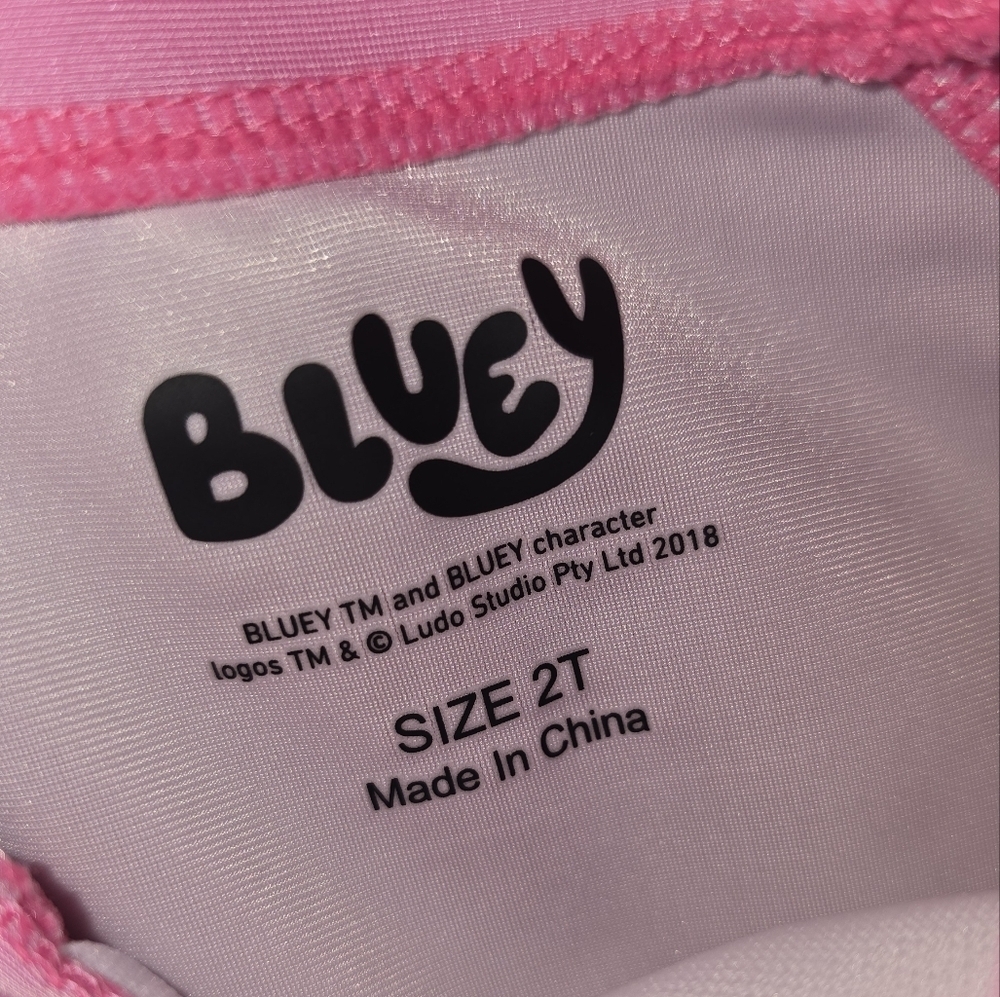 Lucy Pink and Blue Kids Swim Rashguard - Picture 3 of 7